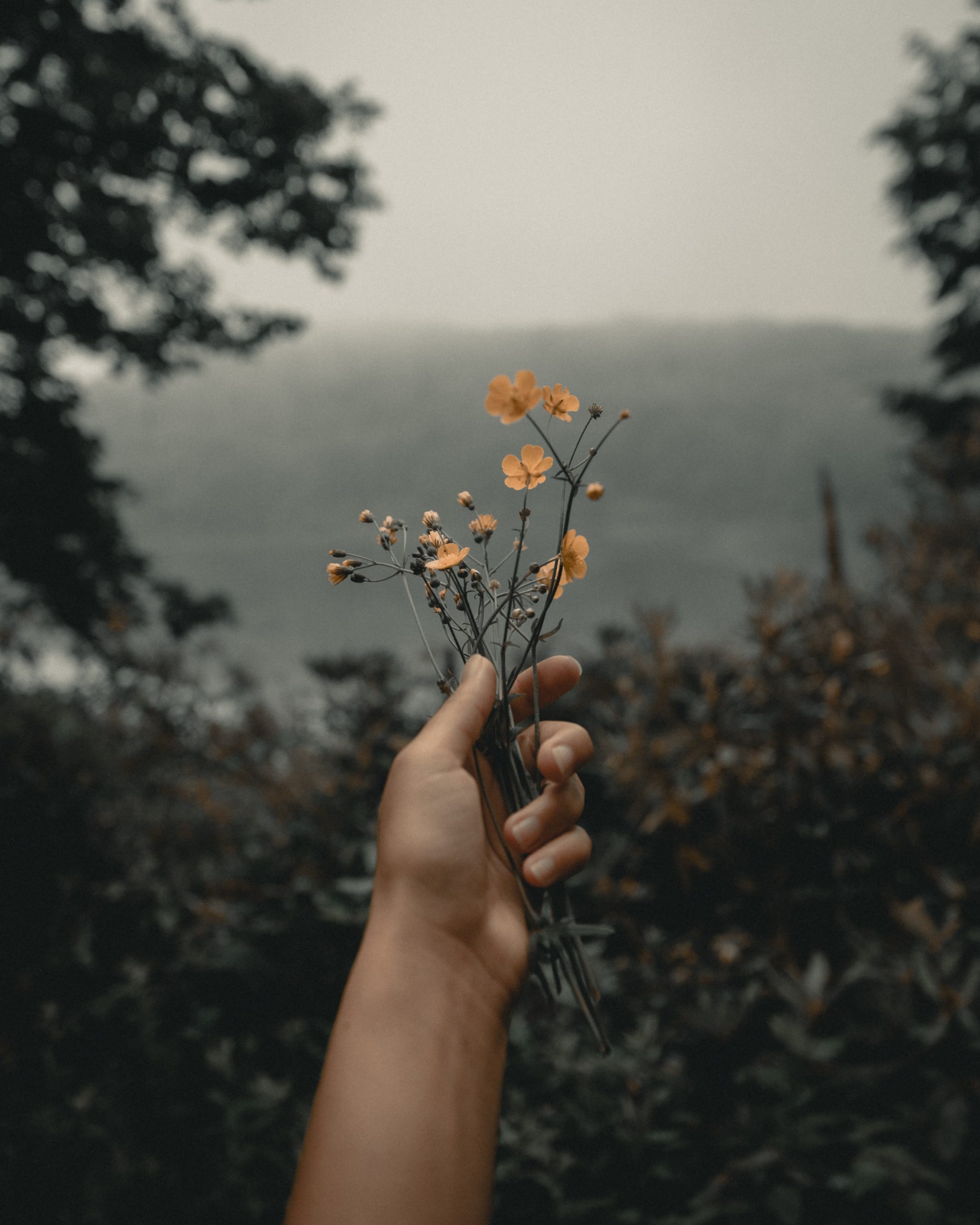 Main tenant des fleurs jusqu'à l'océan dans une forêt.